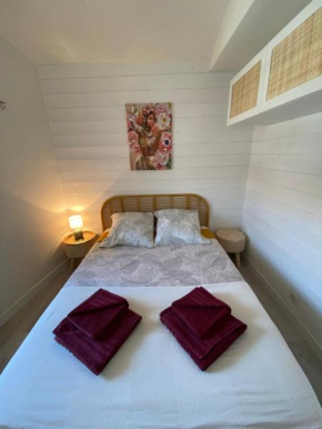 Appartement Duplex Climatisé Le Trident